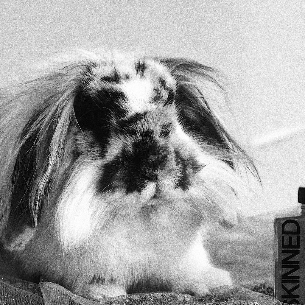 Cruelty-Free